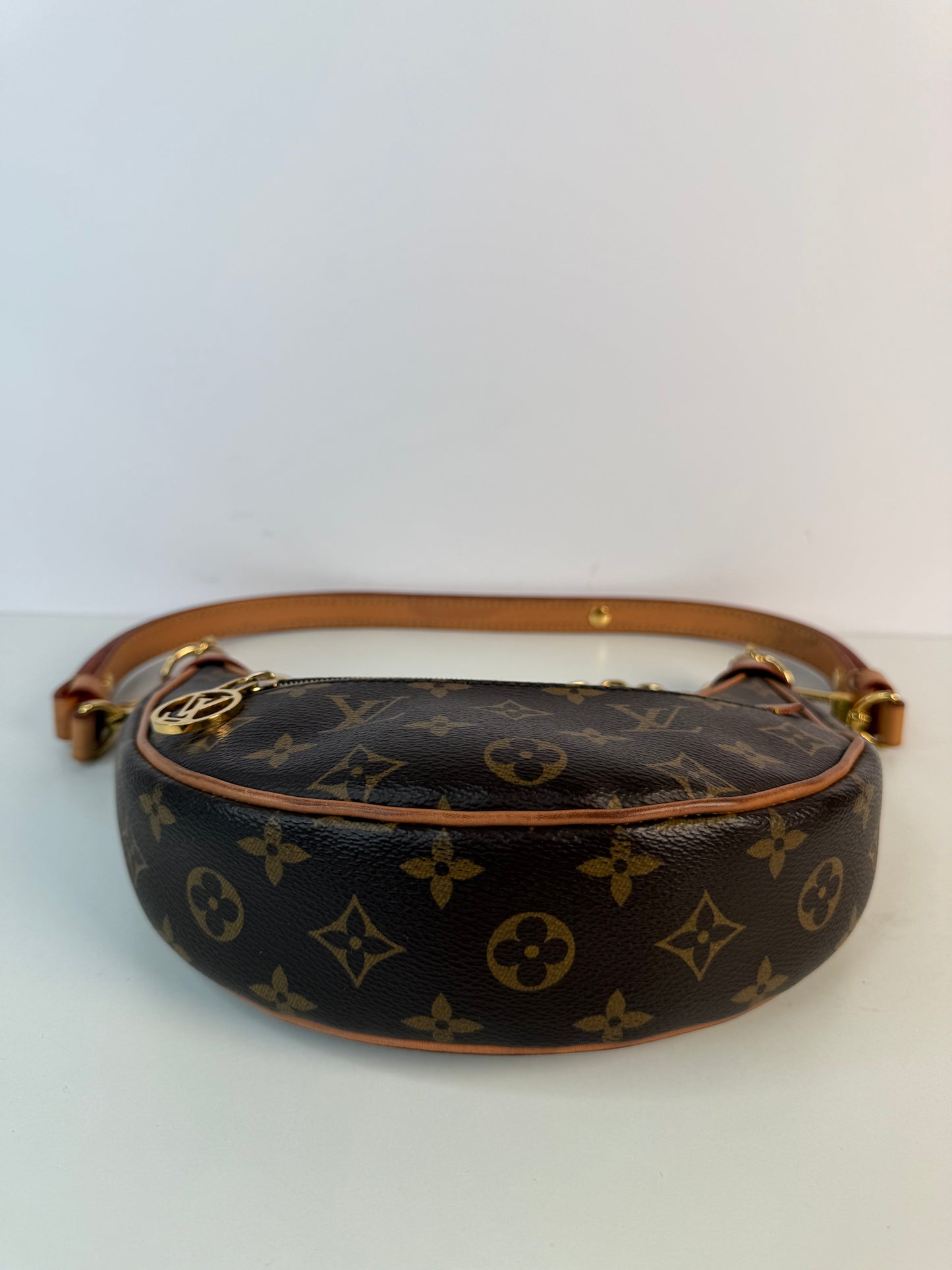 Louis Vuitton Loop Monogram Canvas Bag