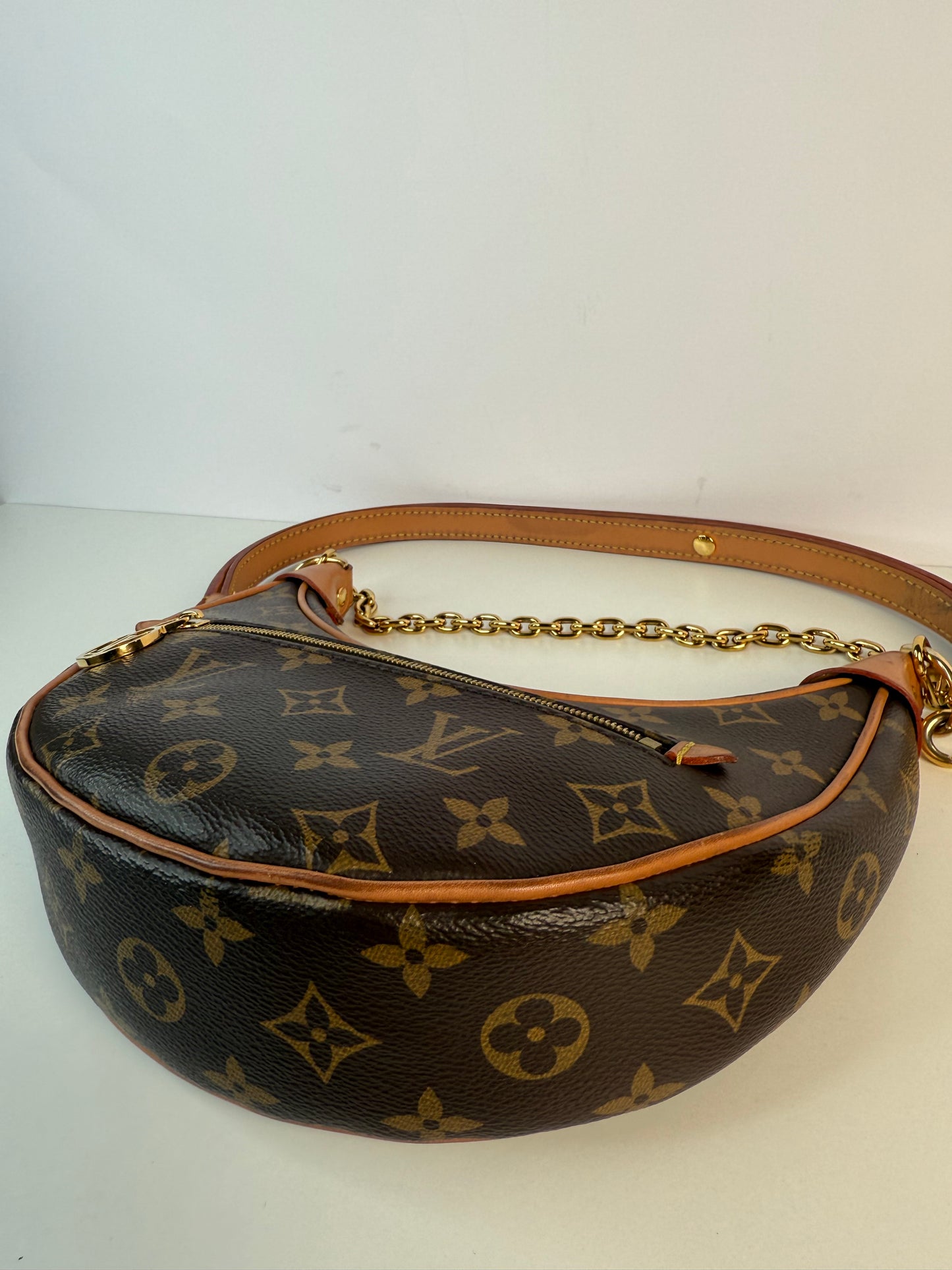 Louis Vuitton Loop Monogram Canvas Bag