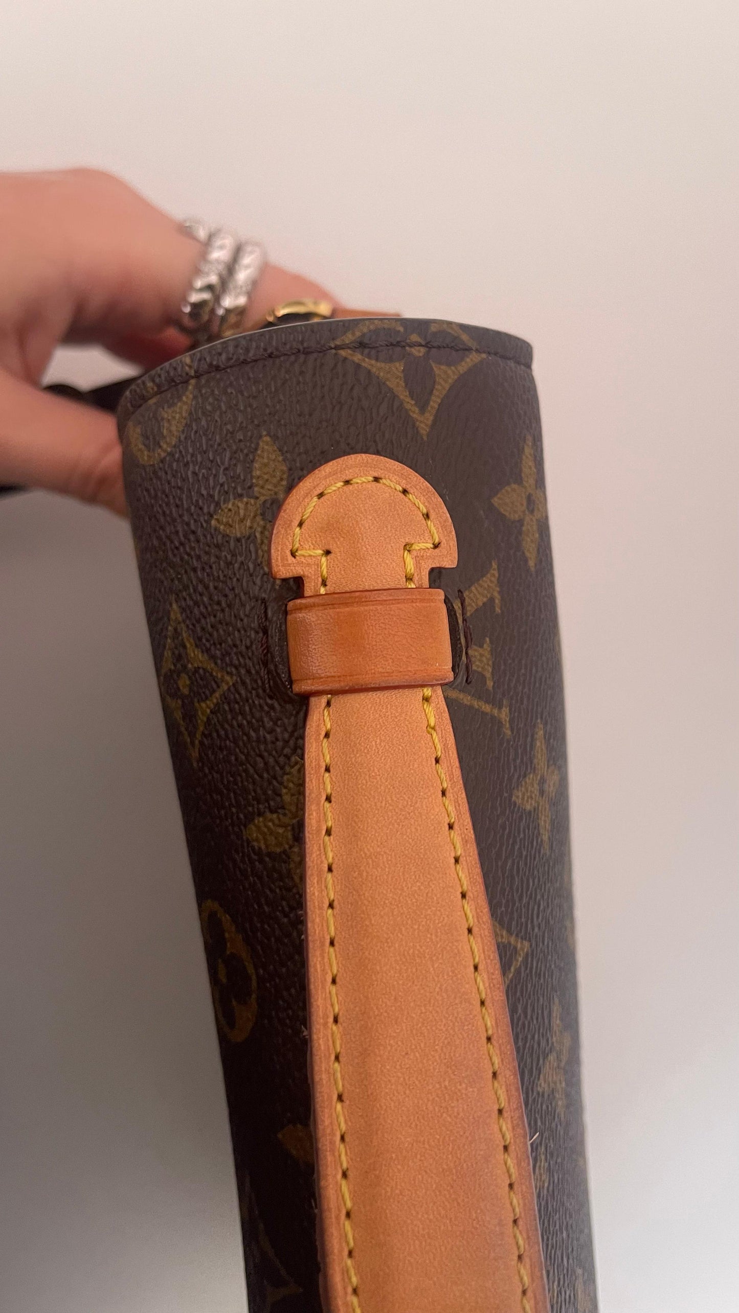 Louis Vuitton Pochette Métis Monogram Canvas